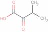 3-Methyl-2-oxobutanoic acid