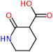 2-oxopiperidine-3-carboxylic acid