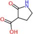 2-oxopyrrolidine-3-carboxylic acid