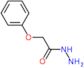 2-phenoxyacetohydrazide