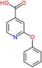 2-phenoxypyridine-4-carboxylic acid