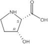 cis-3-Hydroxy-L-proline