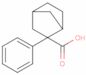 2-phenylbicyclo[2.2.1]heptane-2-carboxylic acid