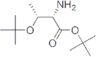 O-(1,1-Dimethylethyl)-L-threonine 1,1-dimethylethyl ester