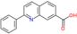 2-phenylquinoline-7-carboxylic acid