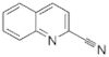 2-quinolinecarbonitrile