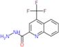 4-(trifluoromethyl)quinoline-2-carbohydrazide