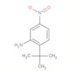 Benzenamine, 2-(1,1-dimethylethyl)-5-nitro-