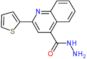 2-thiophen-2-ylquinoline-4-carbohydrazide