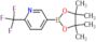 5-(4,4,5,5-tetramethyl-1,3,2-dioxaborolan-2-yl)-2-(trifluoromethyl)pyridine