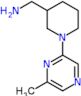 [1-(6-methylpyrazin-2-yl)-3-piperidyl]methanamine