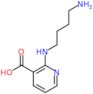 2-[(4-aminobutyl)amino]pyridine-3-carboxylic acid