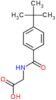 N-(4-tert-butylbenzoyl)glycine