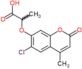 2-[(6-chloro-4-methyl-2-oxo-2H-chromen-7-yl)oxy]propanoic acid