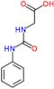 N-(phenylcarbamoyl)glycine