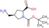 (2S,4R)-4-(aminomethyl)-1-tert-butoxycarbonyl-pyrrolidine-2-carboxylic acid