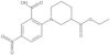 3-Ethyl 1-(2-carboxy-4-nitrophenyl)-3-piperidinecarboxylate