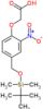 2-[4-[[[(1,1-Dimethylethyl)dimethylsilyl]oxy]methyl]-2-nitrophenoxy]acetic acid