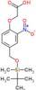 2-[4-[[tert-butyl(dimethyl)silyl]oxymethyl]-2-nitro-phenoxy]acetic acid