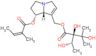 (+)-Echimidine