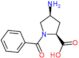 (2S,4S)-4-amino-1-benzoyl-pyrrolidine-2-carboxylic acid