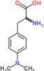 4-(dimethylamino)phenylalanine