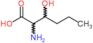 3-hydroxynorleucine