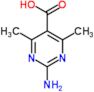 2-Amino-4,6-dimethyl-5-pyrimidinecarboxylic acid