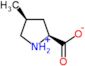 (2S,4S)-4-methylpyrrolidinium-2-carboxylate