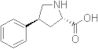 (4S)-4-Phenyl-L-proline