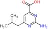 2-amino-6-isobutyl-pyrimidine-4-carboxylic acid