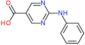 2-(phenylamino)pyrimidine-5-carboxylic acid