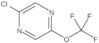 2-Chloro-5-(trifluoromethoxy)pyrazine