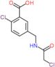 2-chloro-5-{[(chloroacetyl)amino]methyl}benzoic acid