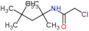 2-chloro-N-(2,4,4-trimethylpentan-2-yl)acetamide