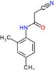 2-cyano-N-(2,4-dimethylphenyl)acetamide