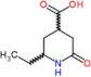 2-ethyl-6-oxopiperidine-4-carboxylic acid