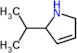 2-isopropyl-2,5-dihydro-1H-pyrrole