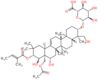 Ácido (3β,4α,16β,21β,22α)-28-(acetiloxi)-16,22,23-trihidroxi-21-[[(2E)-2-metil-1-oxo-2-buten-1-i...