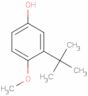 2-tert-Butyl-4-hydroxyanisole