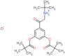 [2-[3,5-bis(2,2-dimethylpropanoyloxy)phenyl]-2-oxo-ethyl]-tert-butyl-ammonium chloride