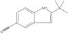 2-(1,1-Dimethylethyl)-1H-indole-5-carbonitrile