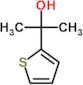 2-(thiophen-2-yl)propan-2-ol