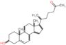 (6R)-6-[(3S,8S,9S,10R,13R,14S,17R)-3-hydroxy-10,13-dimethyl-2,3,4,7,8,9,10,11,12,13,14,15,16,17-te…