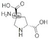 (2R,4R)-APDC