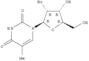 Uridine,2'-bromo-2'-deoxy-5-methyl- (9CI)