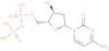 2'-deoxycytidine 5'-(trihydrogen diphosphate)