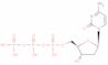 2'-Deoxycytidine-5'-triphosphoric acid = dCTP