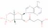 adenosine cyclic 3',5'-(hydrogen phosphate) 2'-(hydrogen succinate)