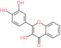 2-(3,4-dihydroxyphenyl)-3-hydroxy-4H-chromen-4-one